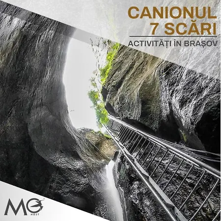 Mohost Uno - Elevated With Mountain Views Apartamento