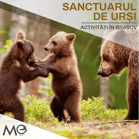 Mohost Uno - Elevated With Mountain Views Apartamento